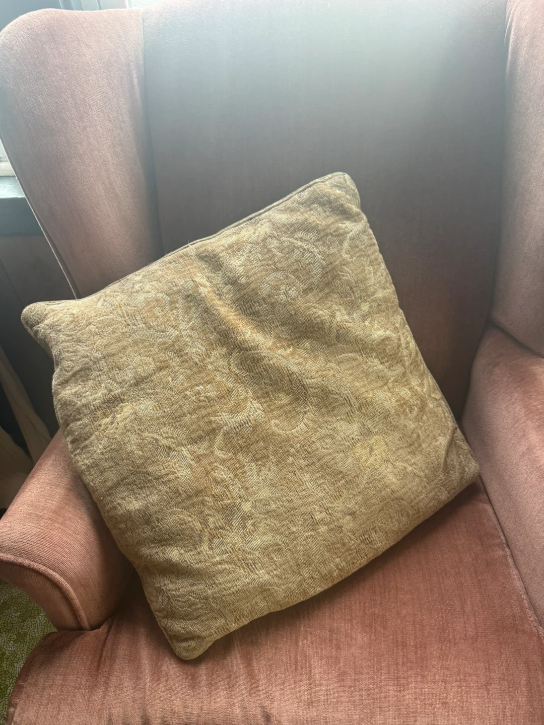 2 matching paisley neutral 22in pillows - photo 2