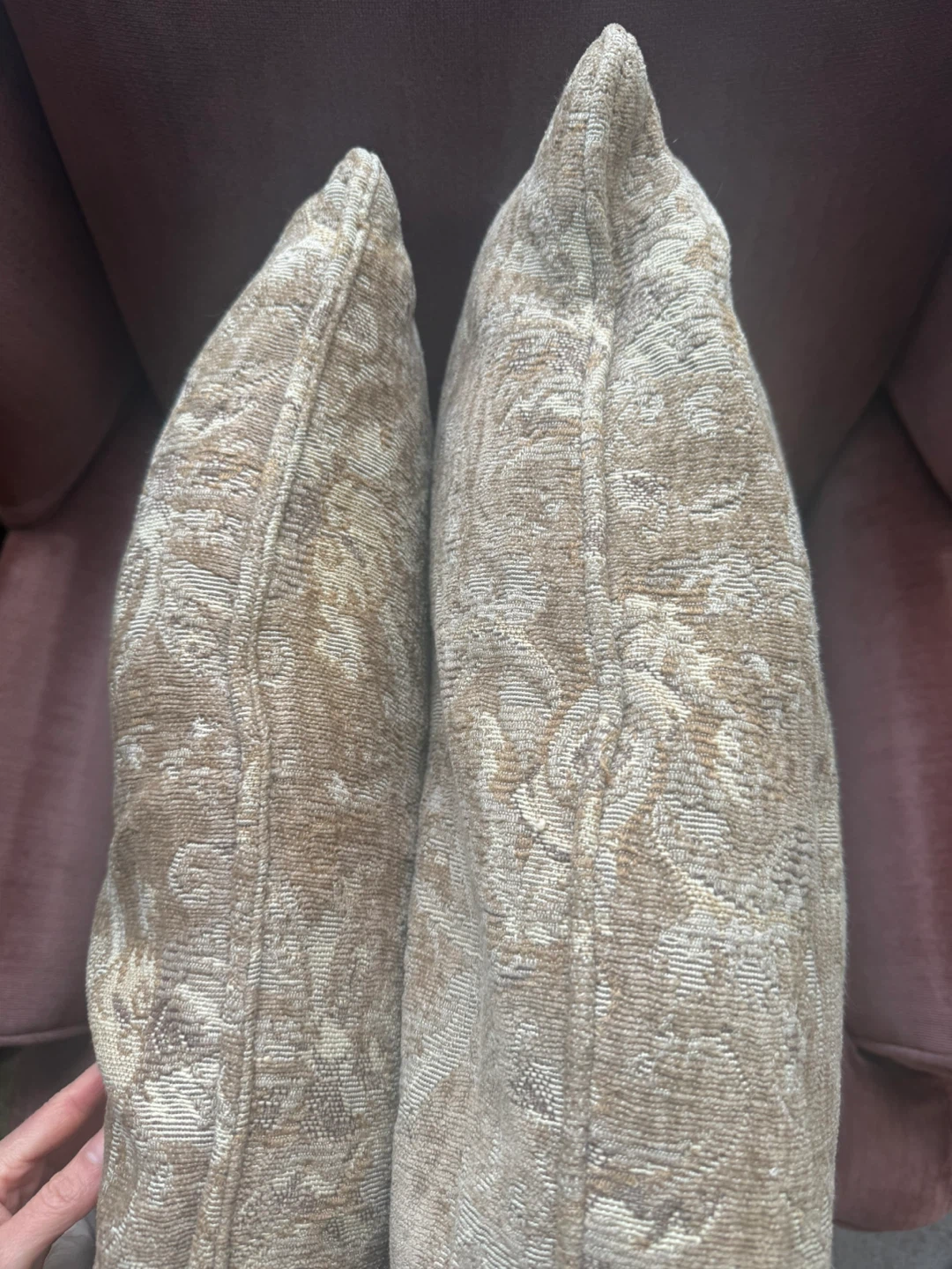 2 matching paisley neutral 22in pillows