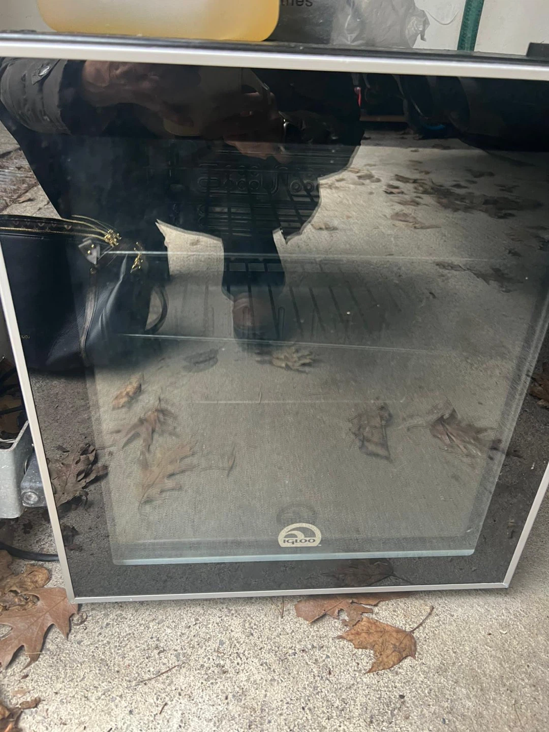 Igloo Mini Fridge