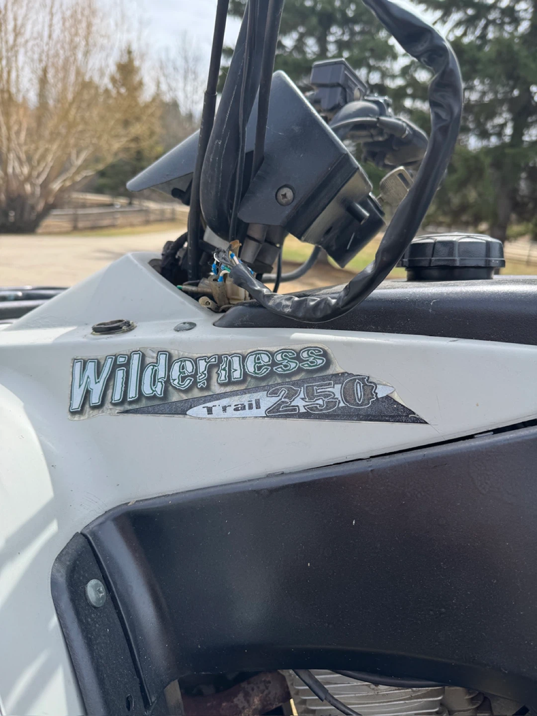 Suzuki Wilderness Trail 250 ATV - photo 3