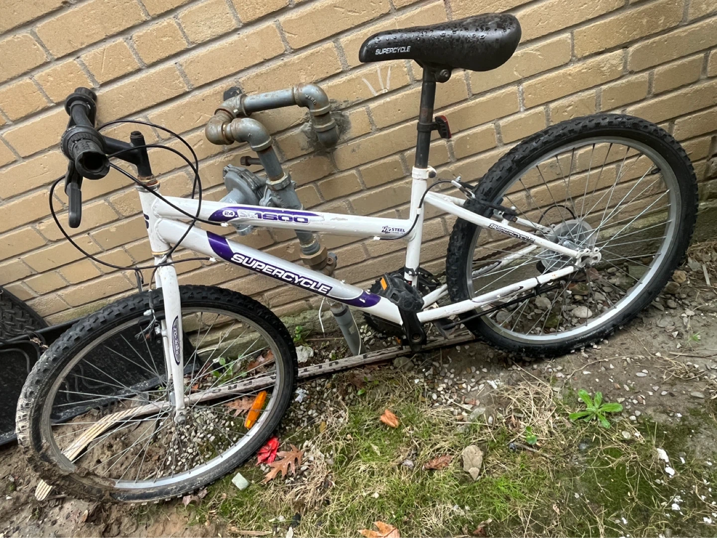 Supercycle Bicycle