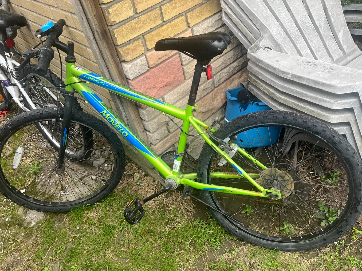 Movelo Alpine Bike