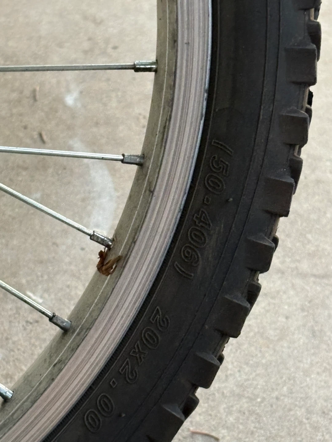 Molo Kids Bike - Great Condition! - photo 3