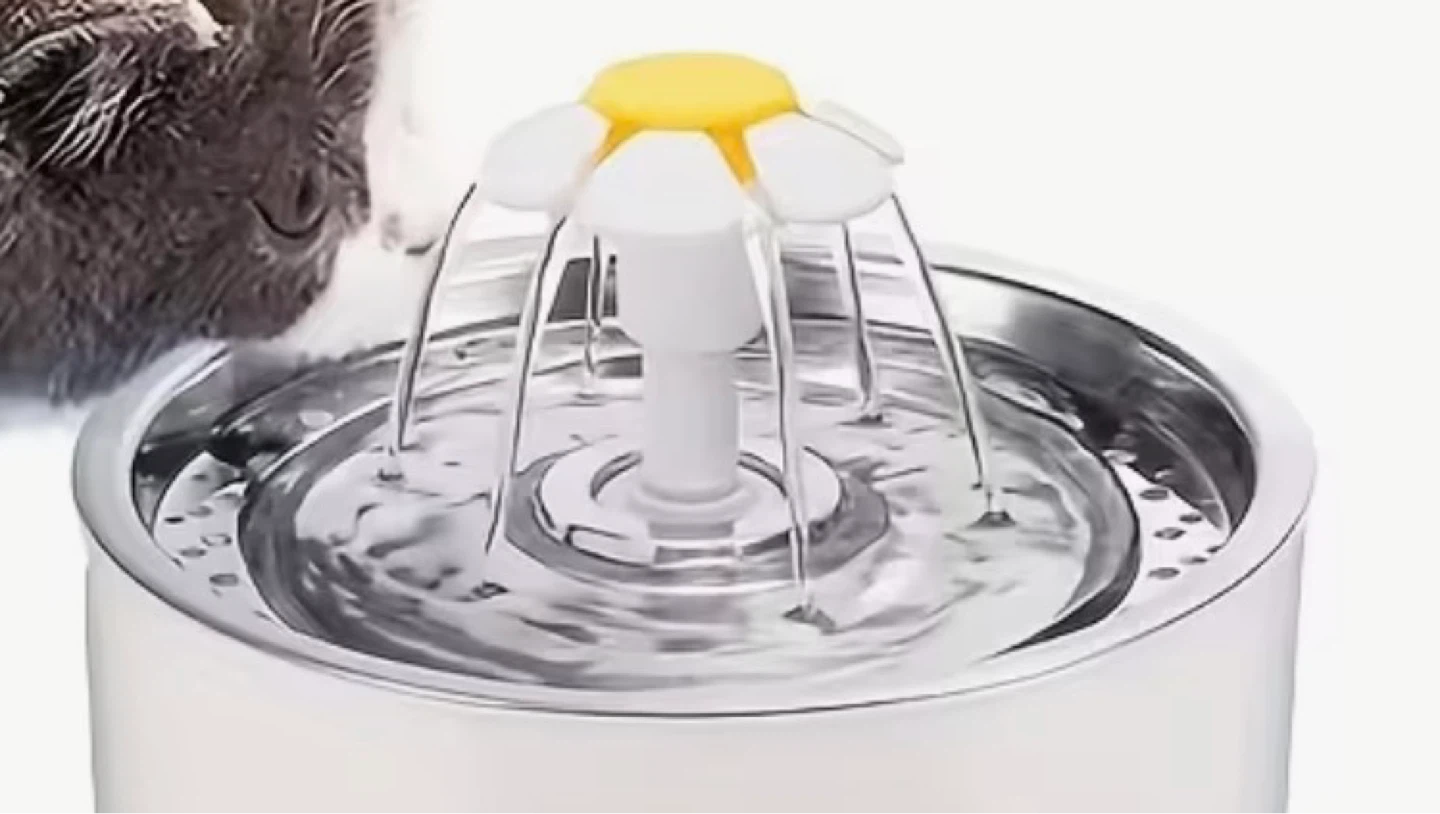Pet Water Fountain - photo 5