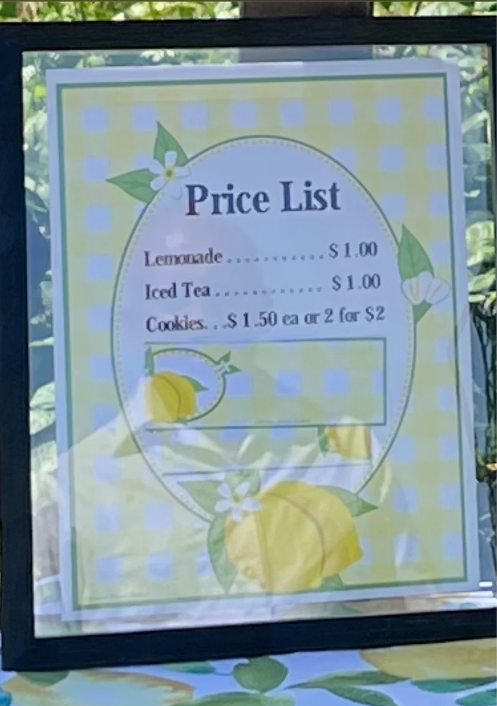 Beautiful lemonade stand lot - photo 3