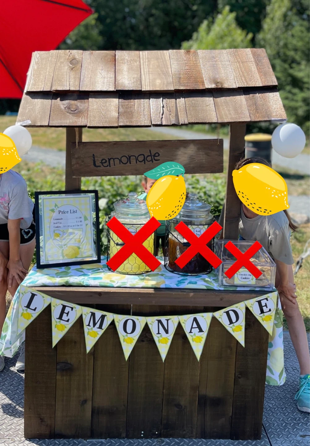 Beautiful lemonade stand lot