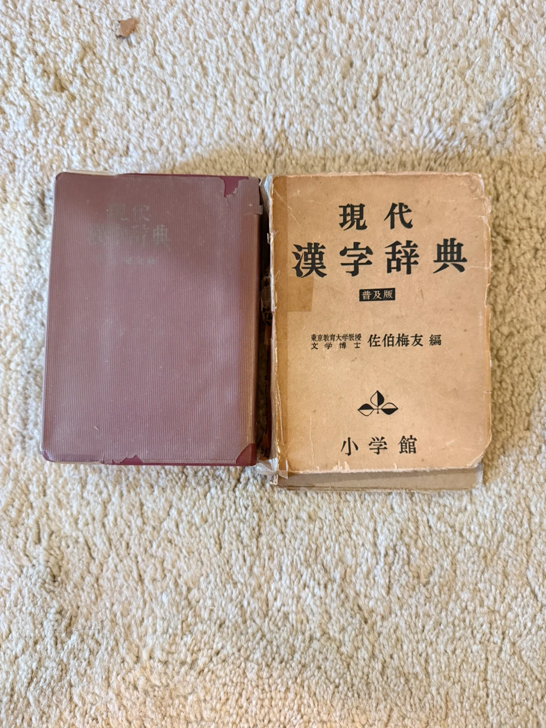 現代漢字辞典 (Modern Kanji Dictionary)