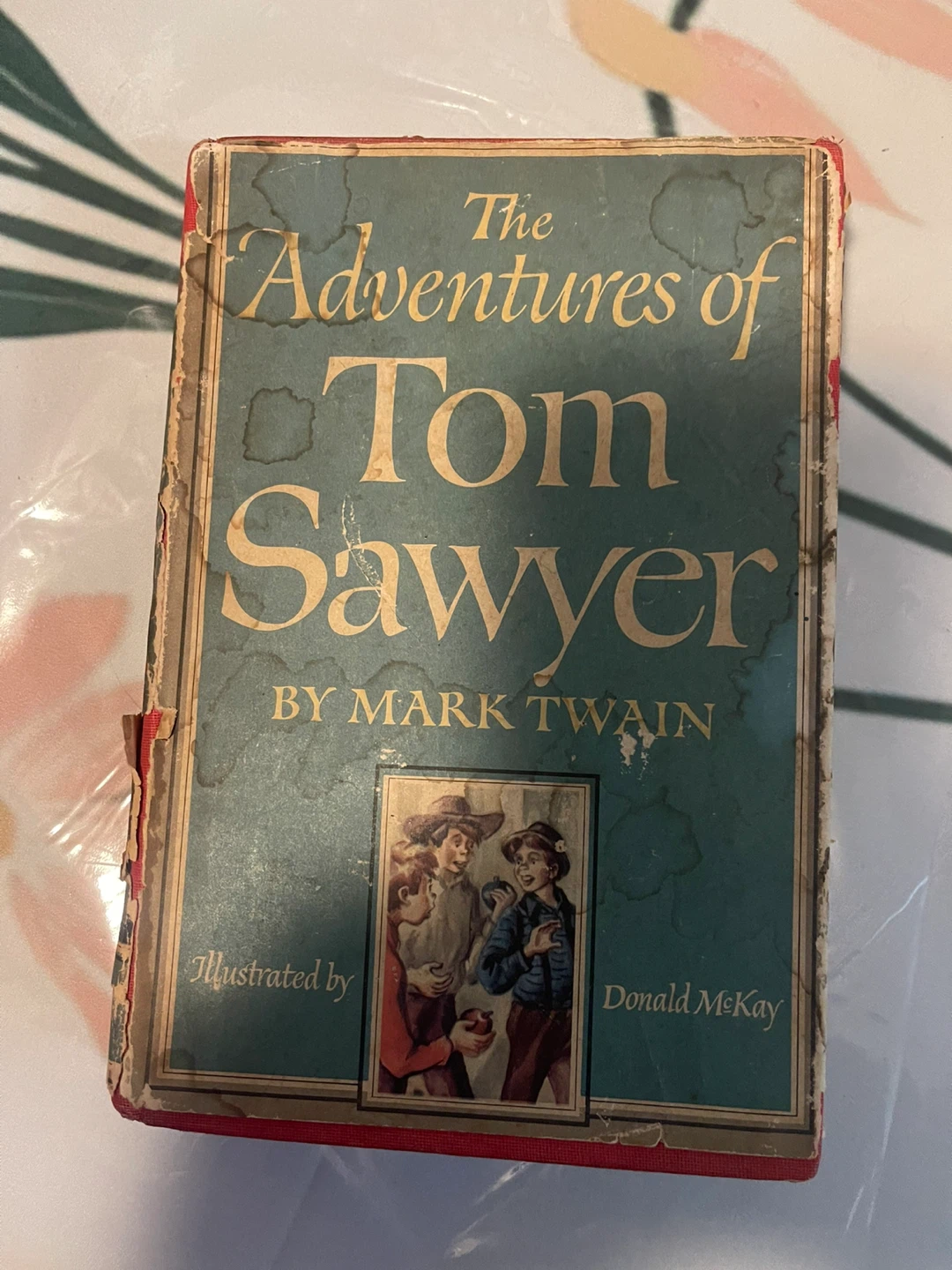 The Adventures of Tom Sawyer by Mark Twain