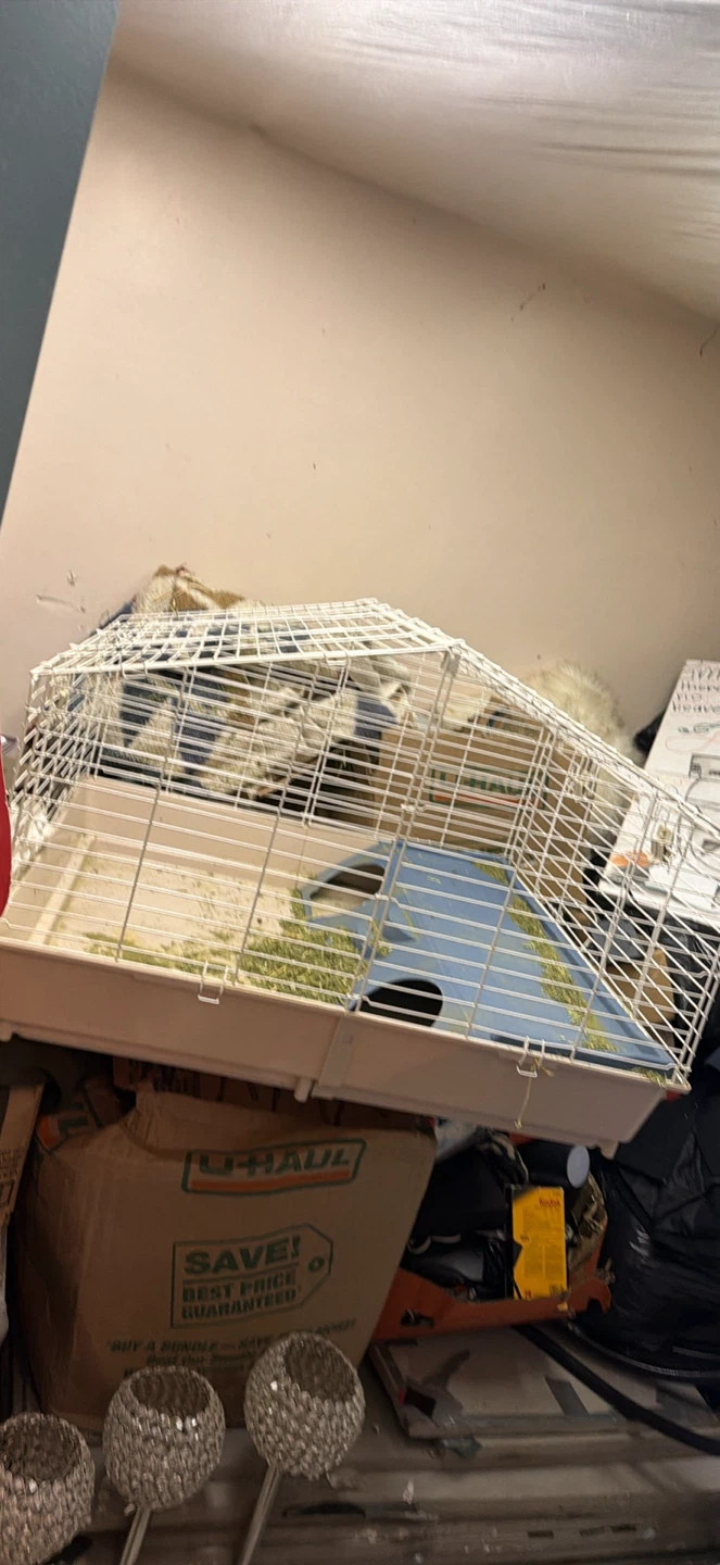 Small Pet Cage