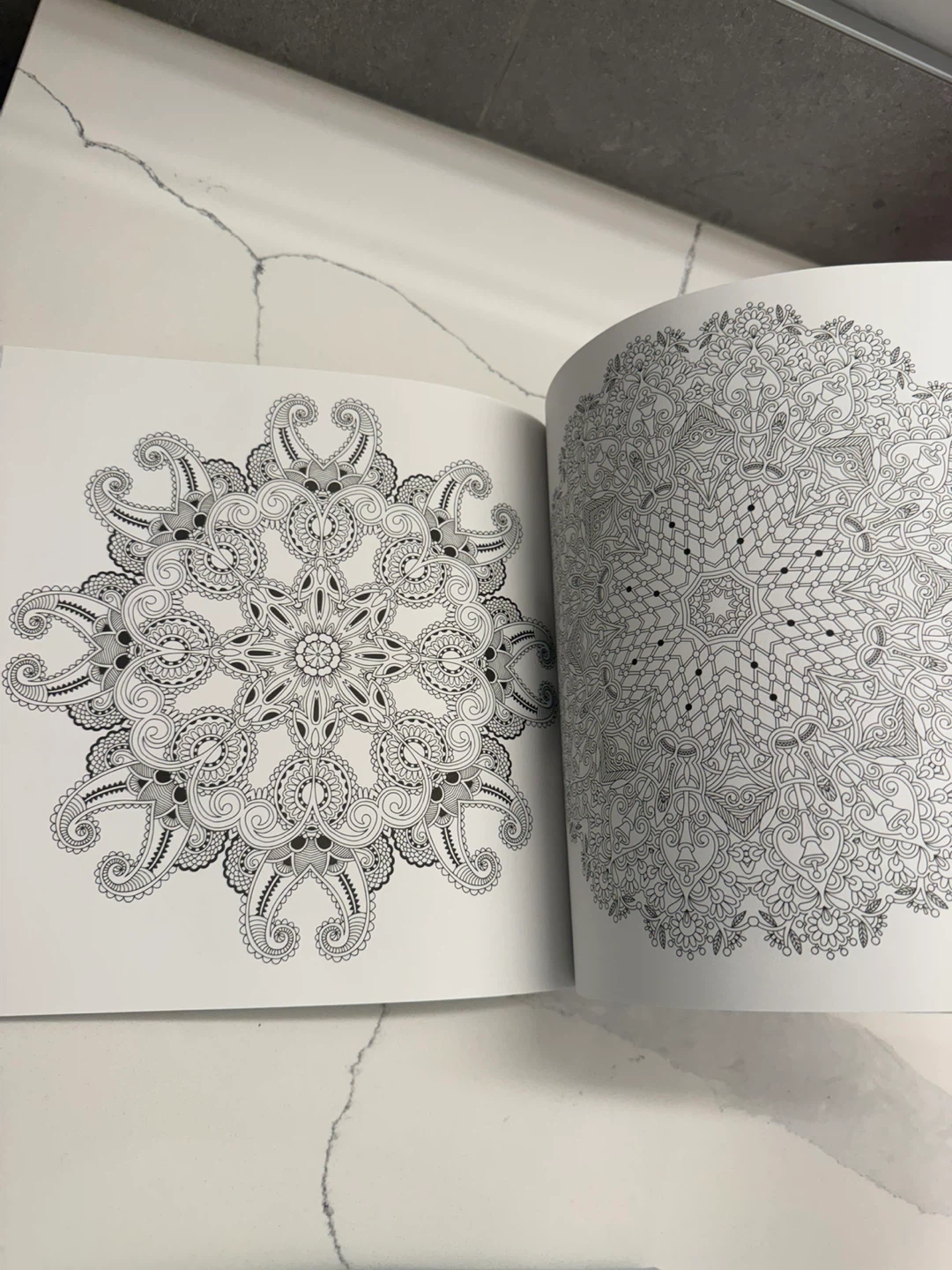 Mandala Meditation Coloring Book – 90 Intricate Designs - photo 5