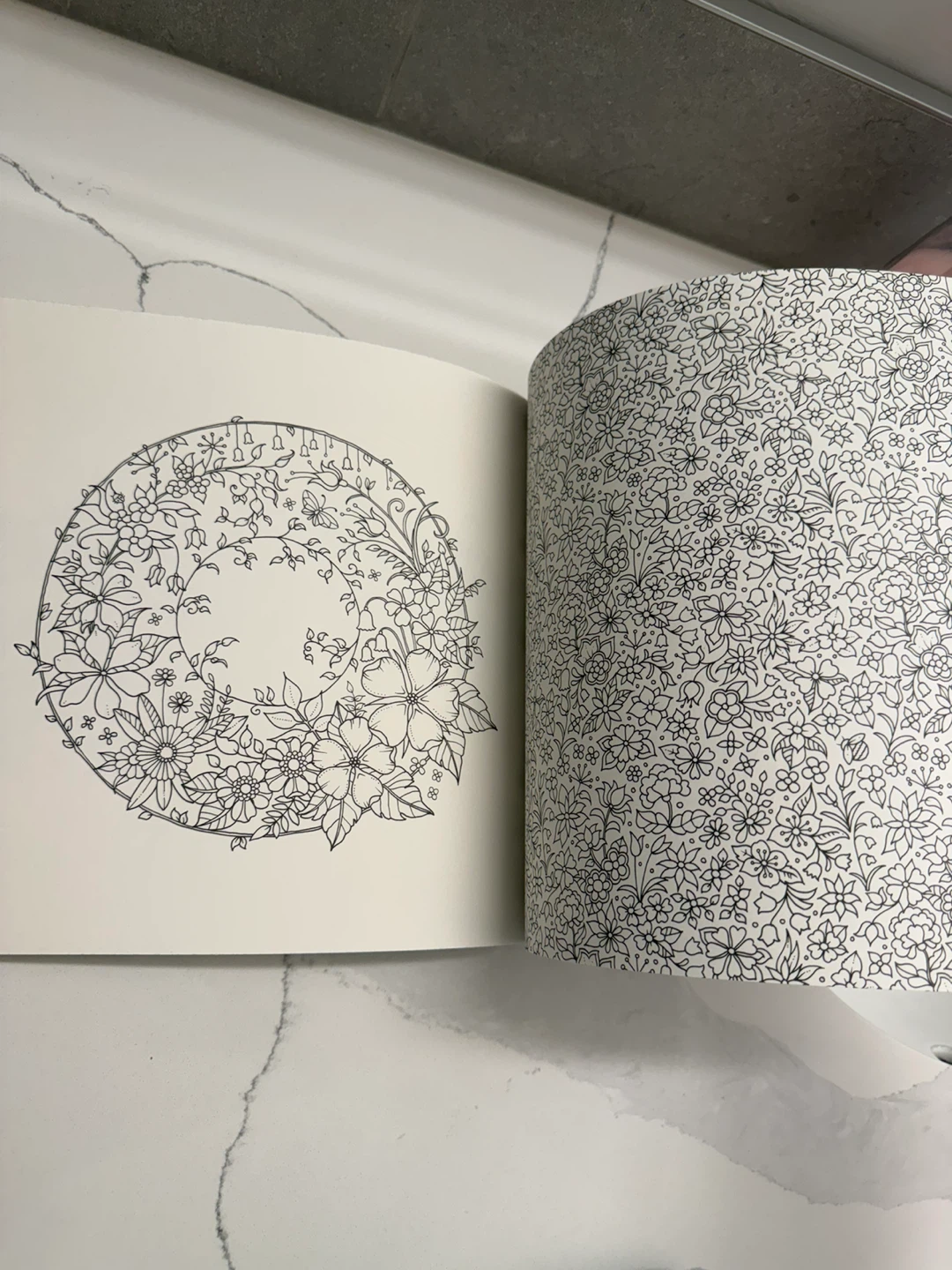 NEW Johanna Basford World of Flowers Coloring Book - photo 5