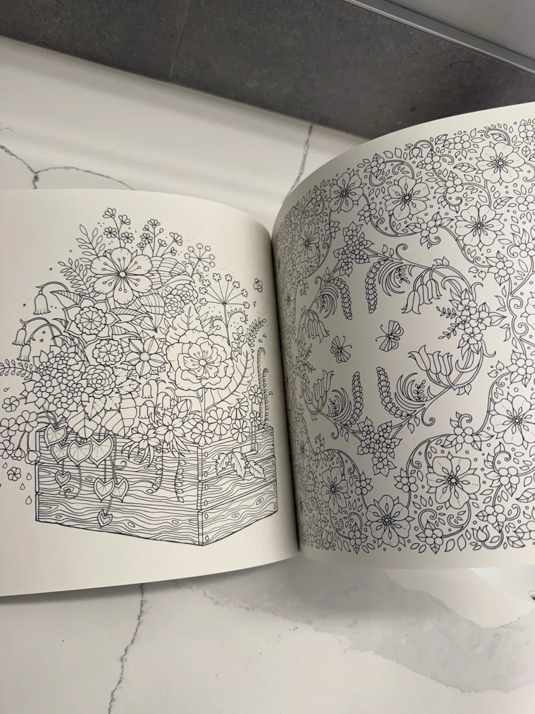 NEW Johanna Basford World of Flowers Coloring Book - photo 3