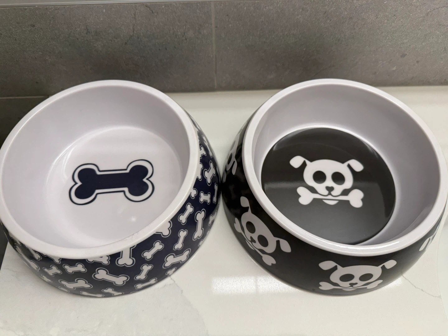 Set of 2 Dog Bowls – Bone & Skull Design