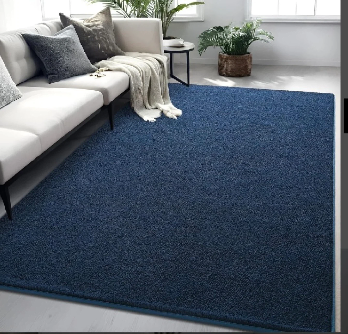Blue Area Rug