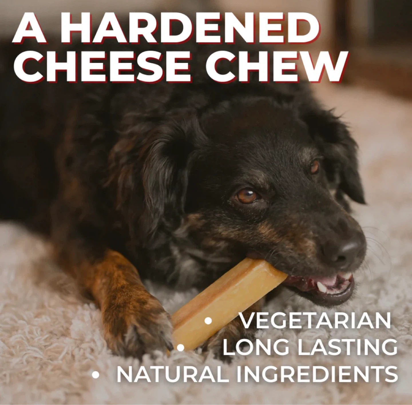Bully Bunches Himalayan Yak Cheese Chews (Large) - photo 2