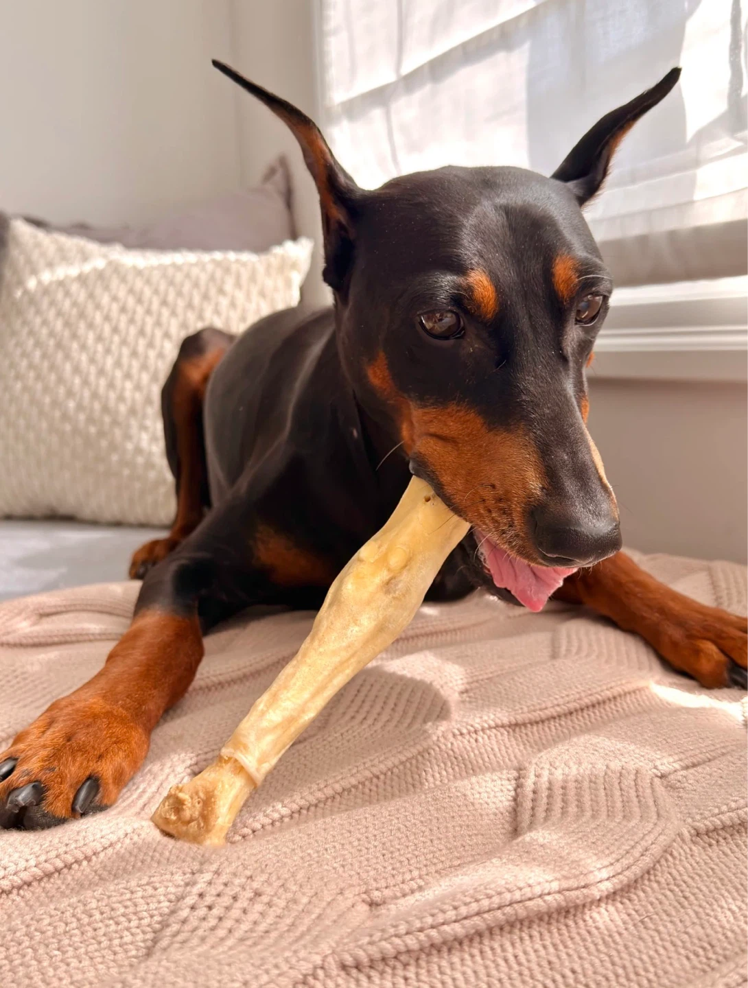Moodwell Lamb Trotters All Natural Dog Chews - photo 3