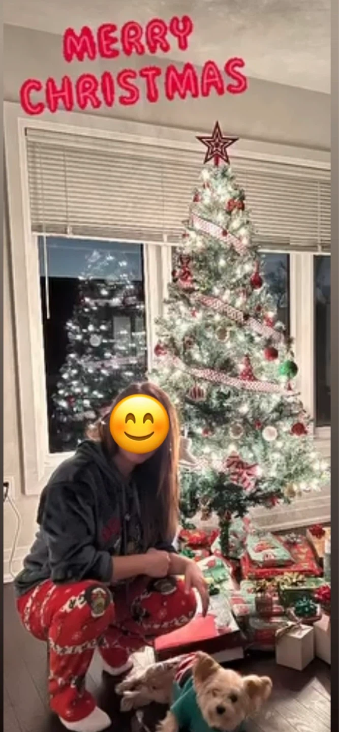 Decorated Christmas Tree - photo 2
