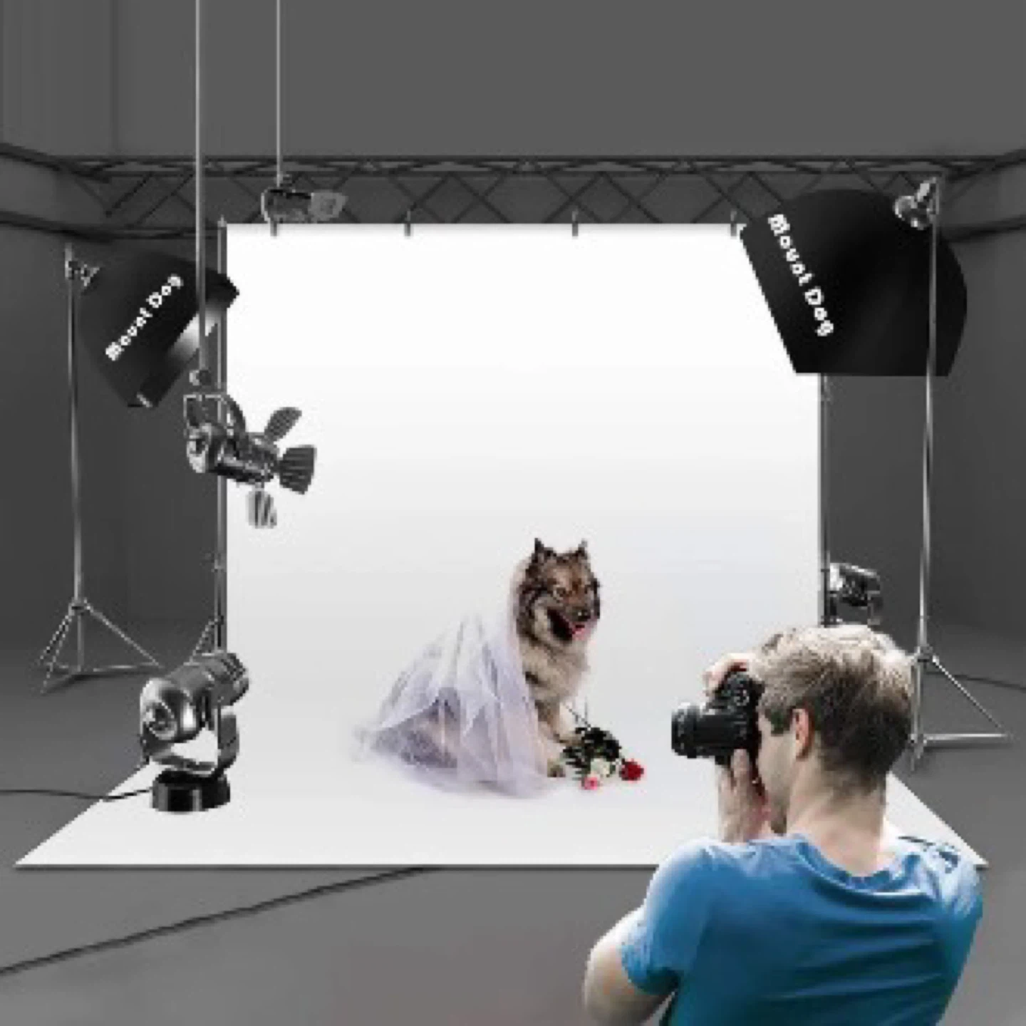MOUNTDOG Photo Backdrop Stand Kit - photo 2