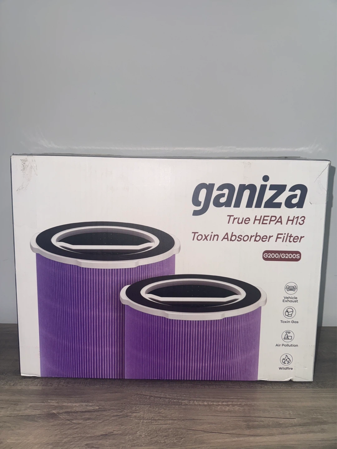 Ganiza True HEPA H13 Toxin Absorber Filters (2-Pack)
