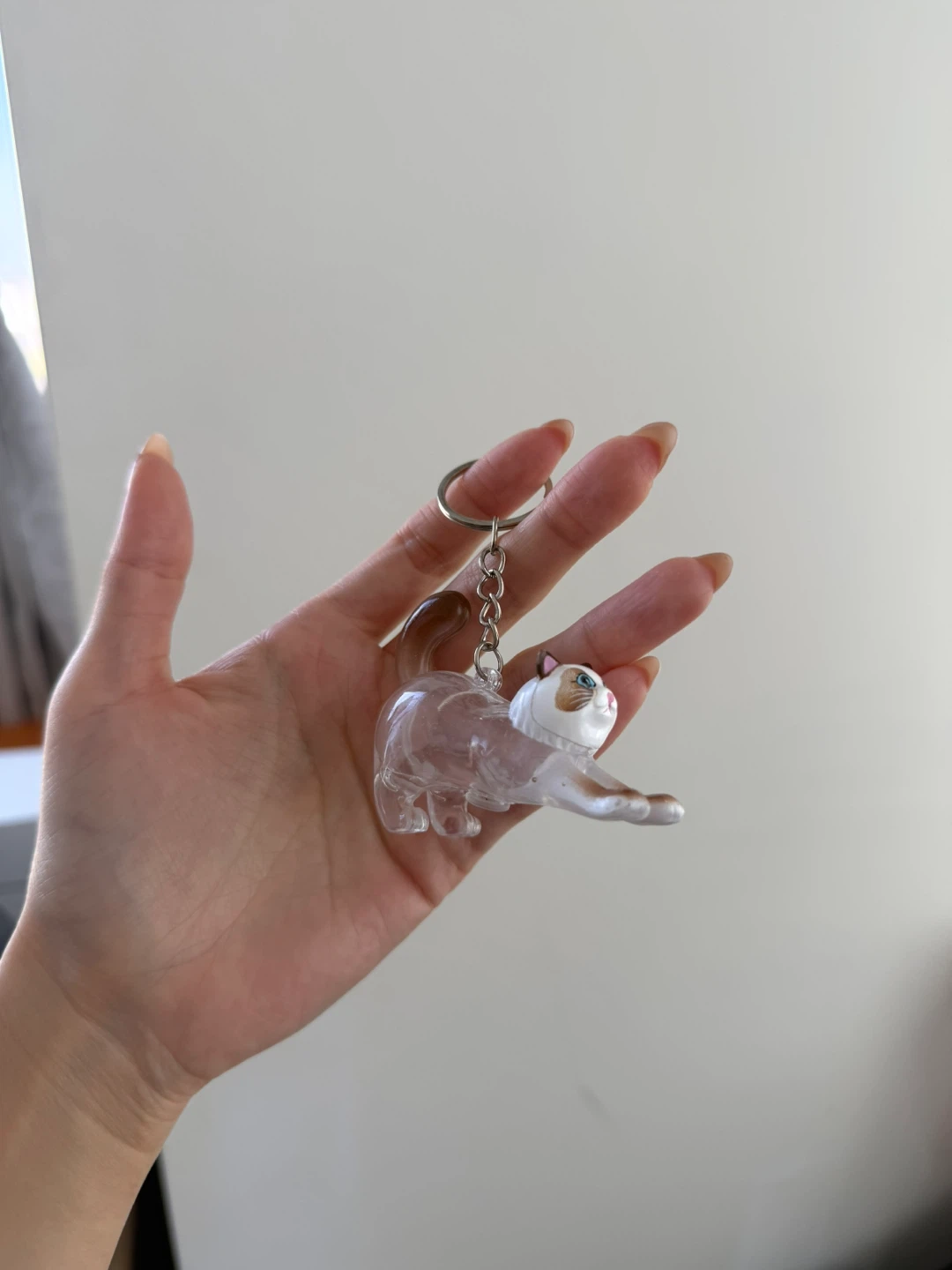 Cat Hair collecting Keychain