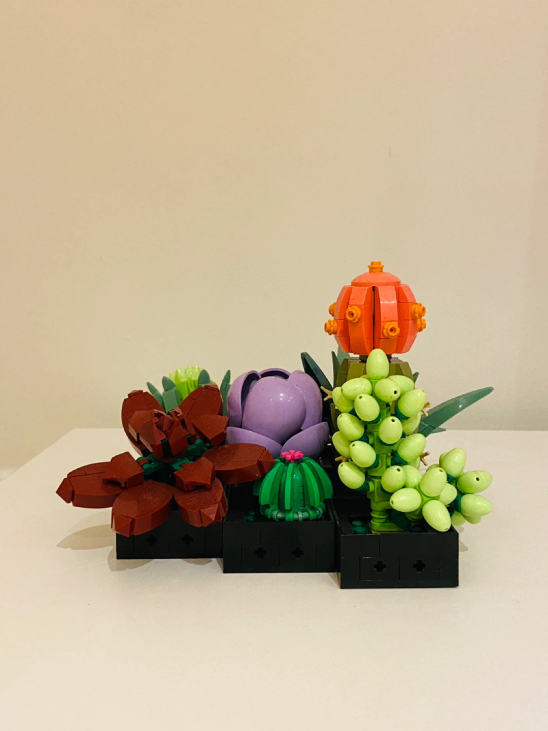 LEGO Botanical Collection Succulents Set + Instruction Booklets - photo 2