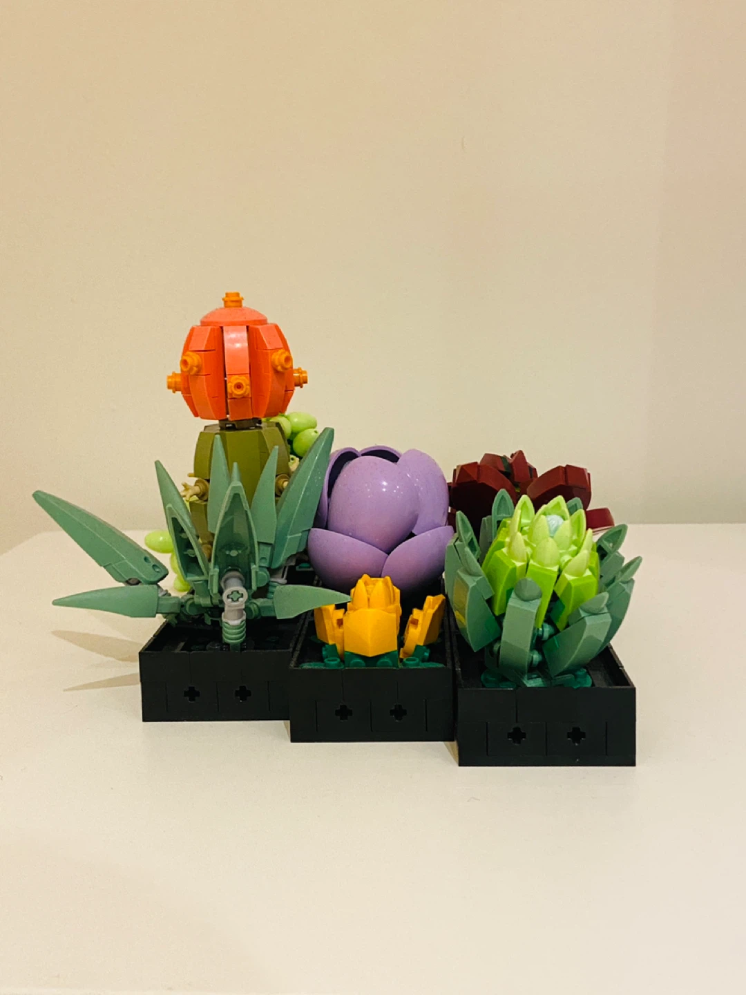 LEGO Botanical Collection Succulents Set + Instruction Booklets - photo 4