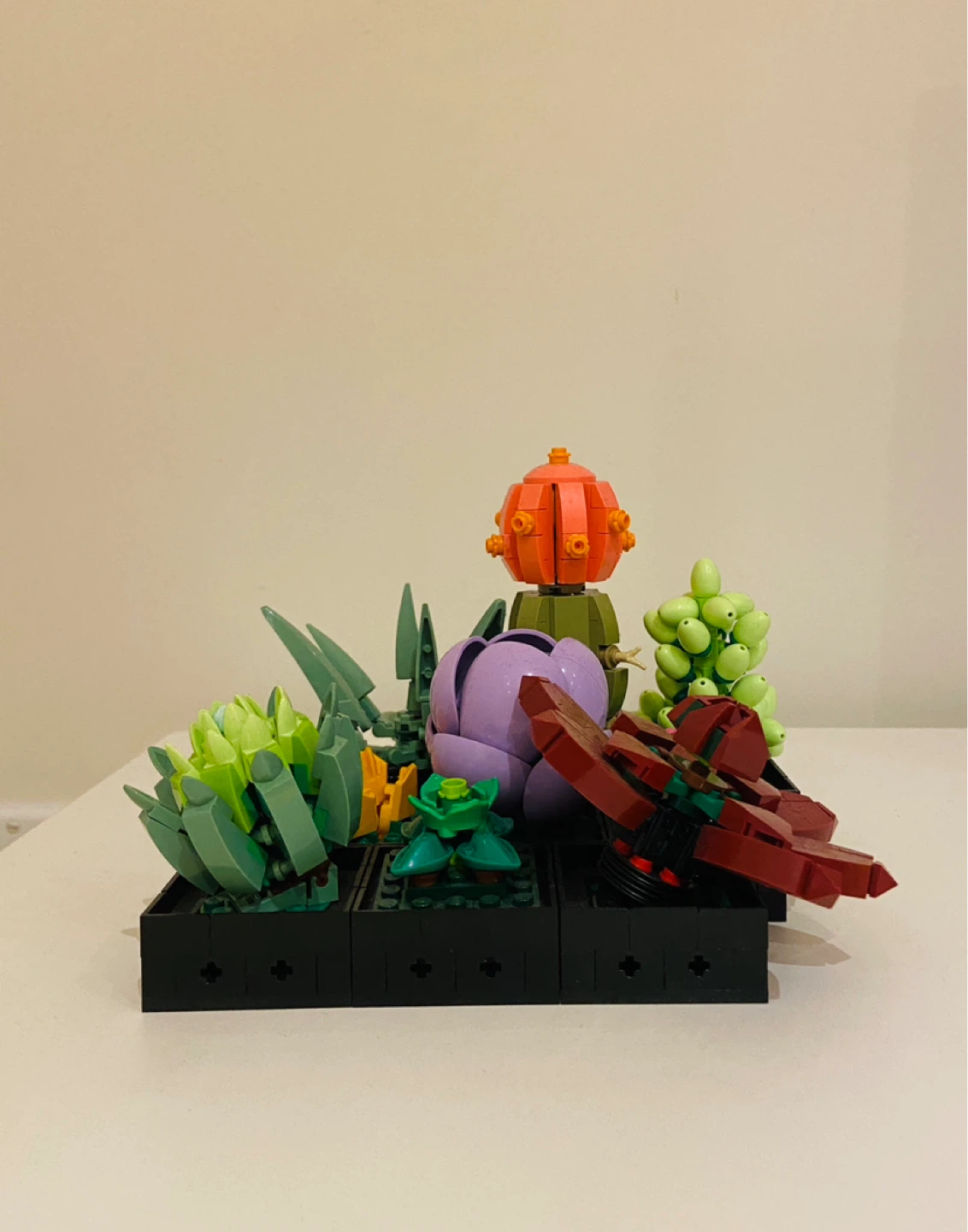 LEGO Botanical Collection Succulents Set + Instruction Booklets
