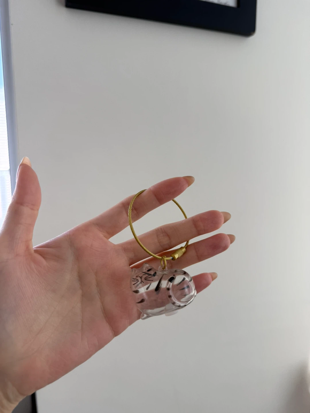 Cat Hair Collecting Keychain