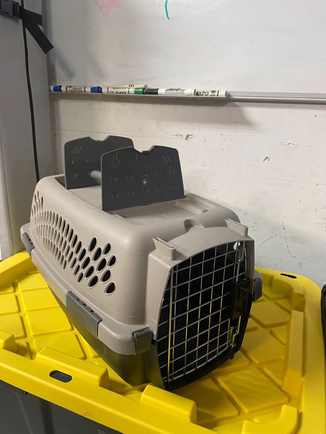 Small Pet Carrier
