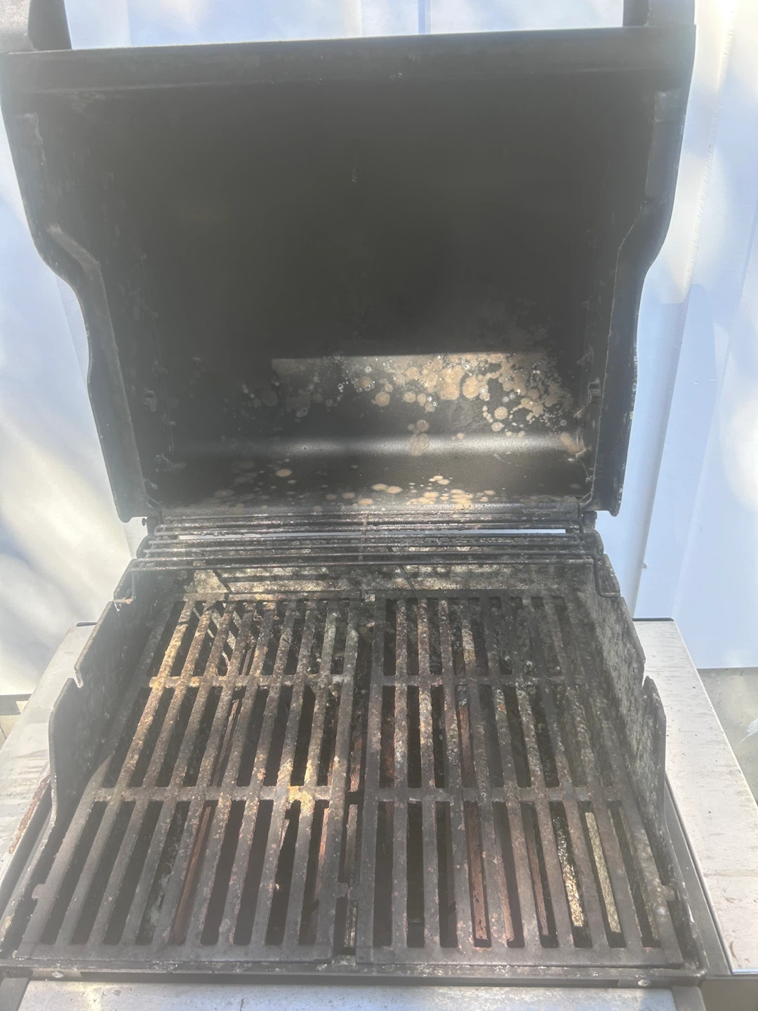 Weber Spirit Gas Grill - FREE - photo 3
