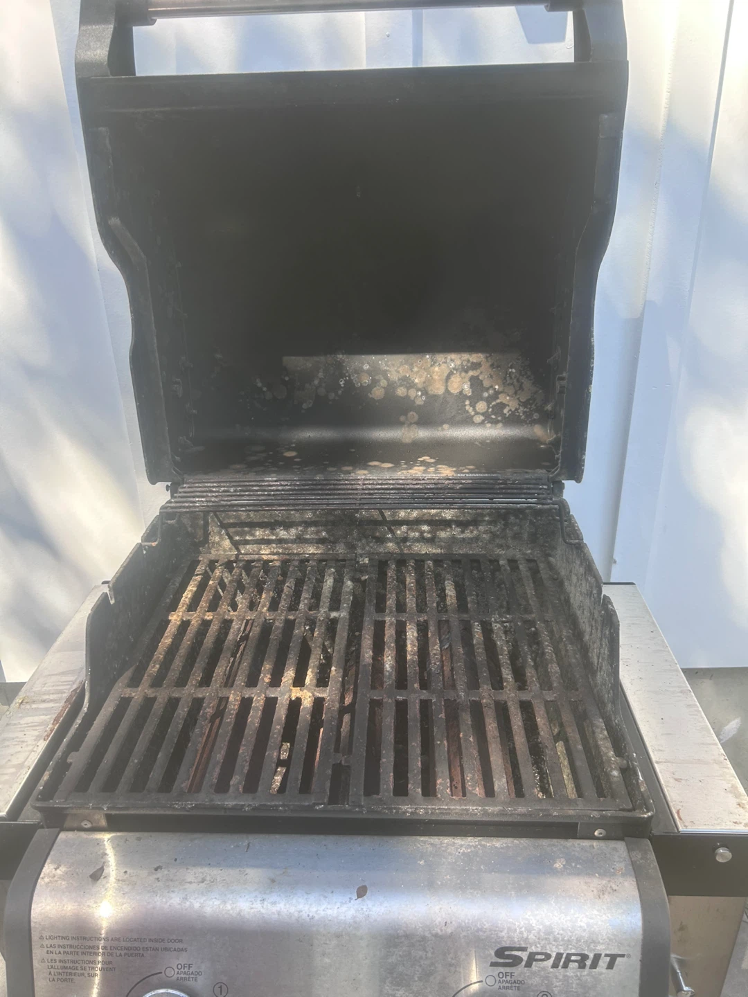 Weber Spirit Gas Grill - FREE - photo 2