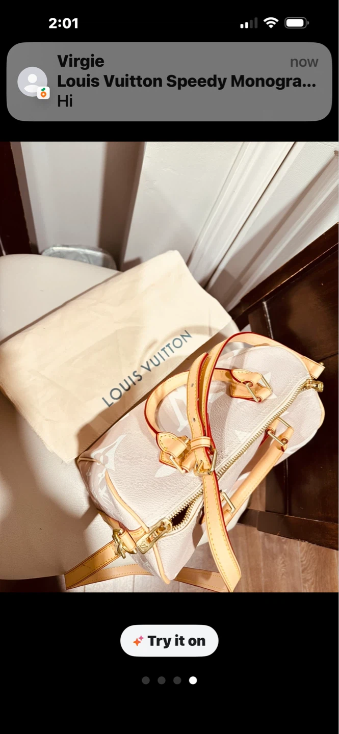 Louis Vuitton Speedy Monogram Bag - photo 2