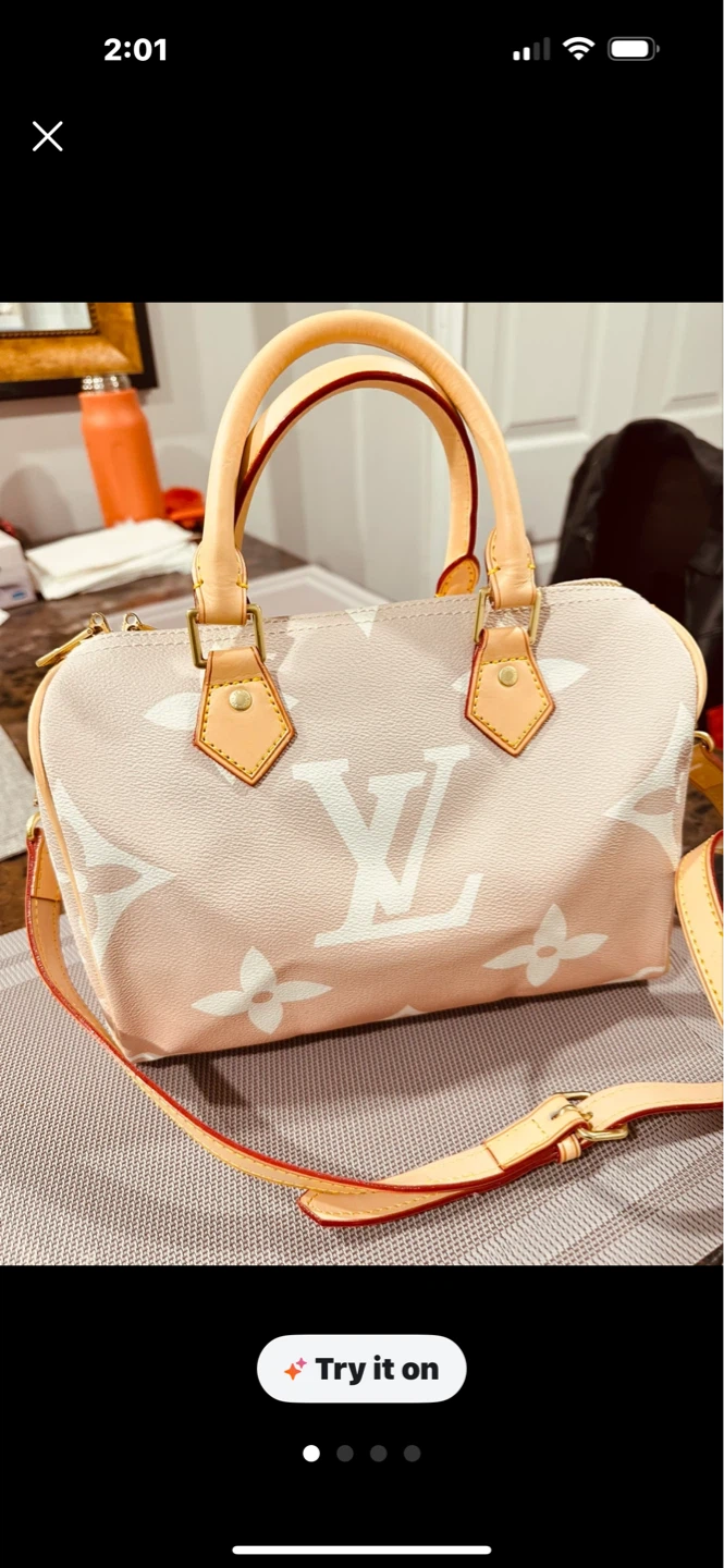 Louis Vuitton Speedy Monogram Bag