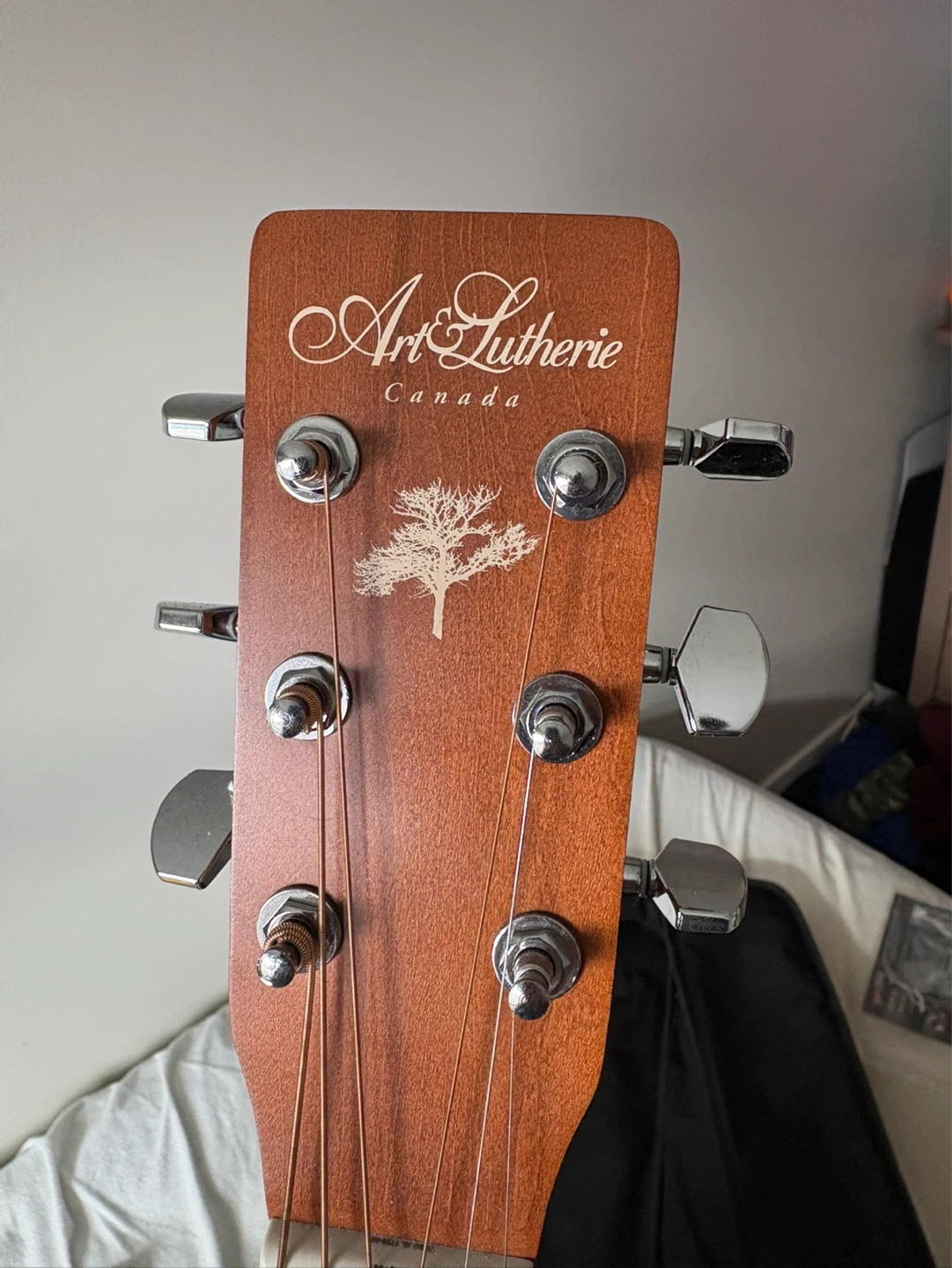 Art & Lutherie Acoustic Guitar with Gig Bag and Accessories