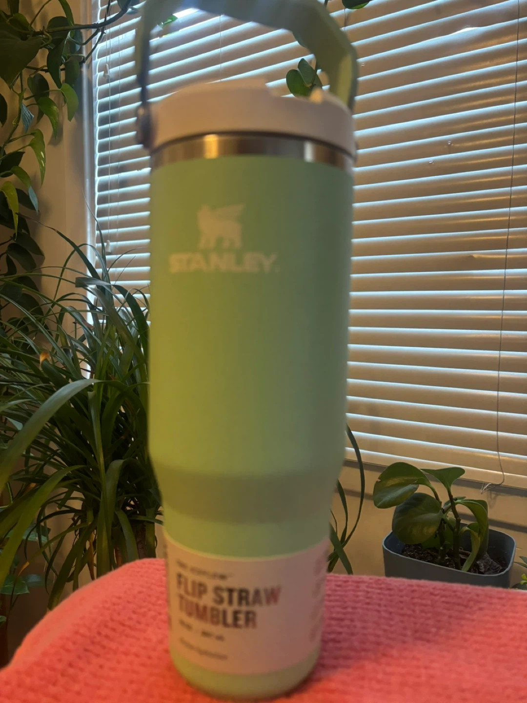 Stanley Flip Straw Tumbler - Light Green