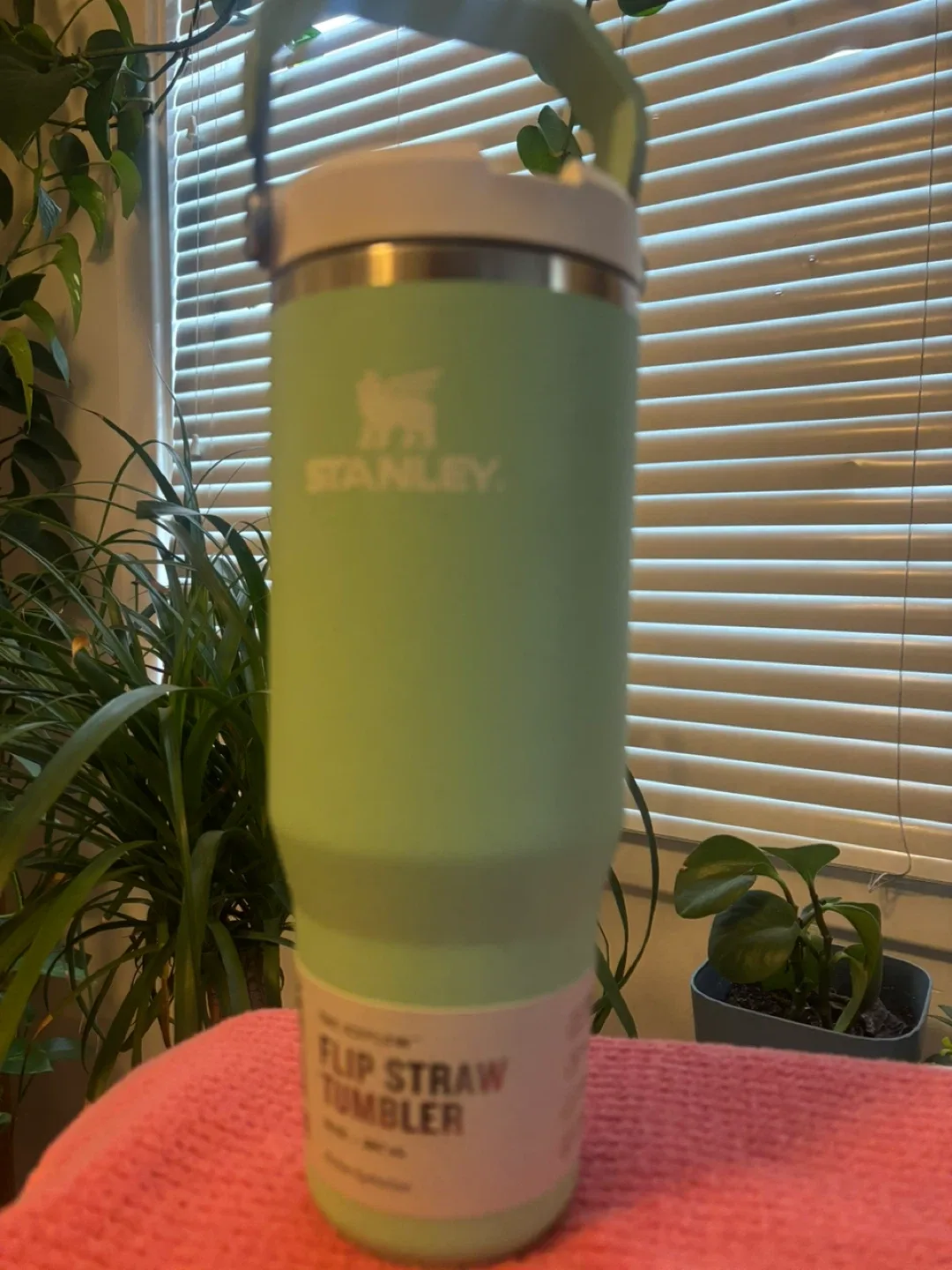 Stanley Flip Straw Tumbler - Light Green
