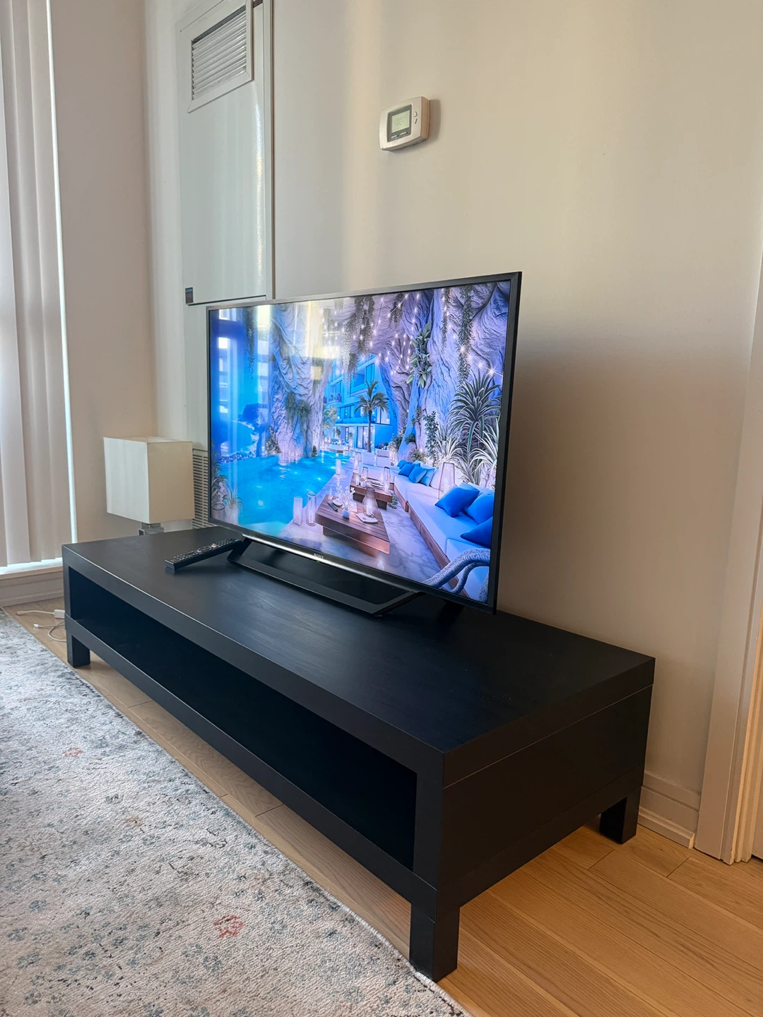 Sony BRAVIA TV and stand