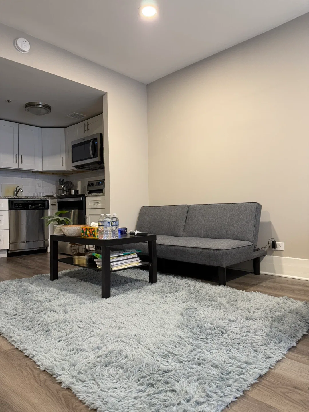 Moving out! Offer: Sofa, Table, and Rug