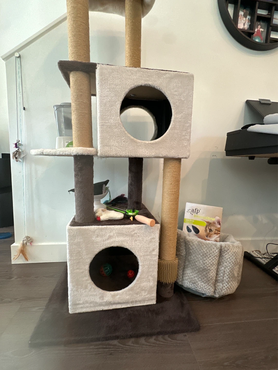 AFP Interactive Laser Beam Robot Laser for Cats