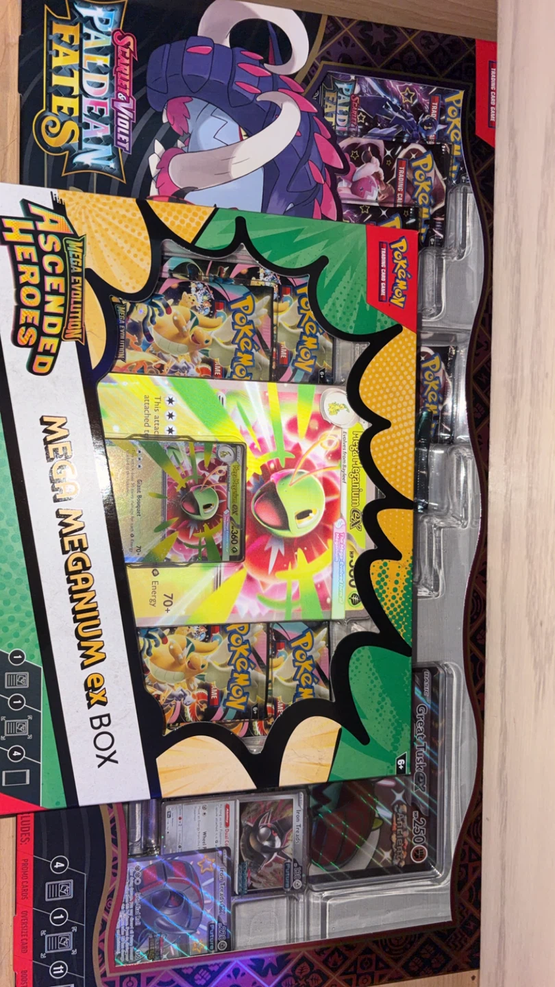 Pokémon TCG Mega Meganium EX Box