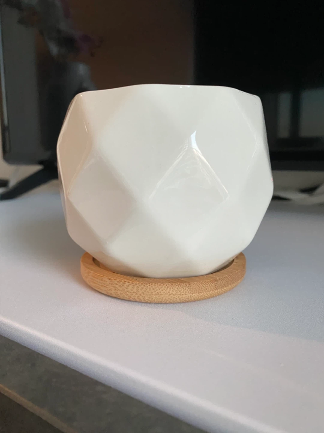 White ceramic succulent pot