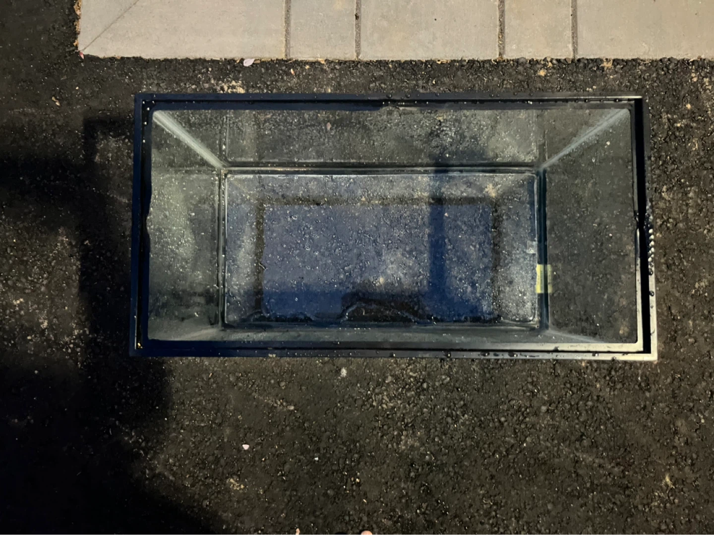 Glass Aquarium Tank - photo 2