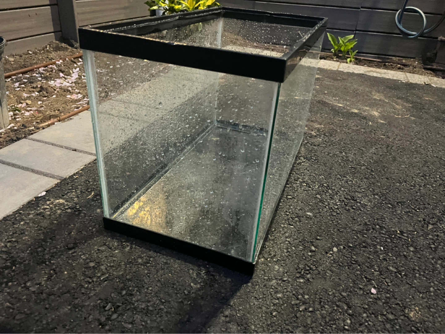 Glass Aquarium Tank