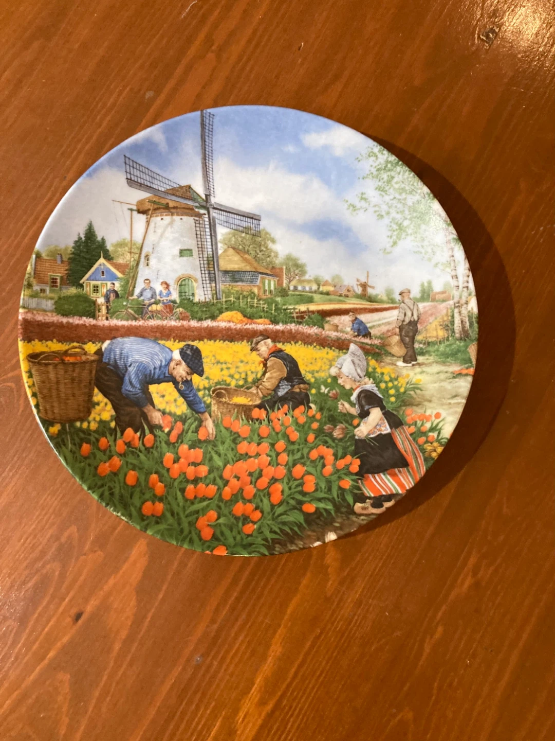 Decorative Netherlands Plate with Tulip Field Scene