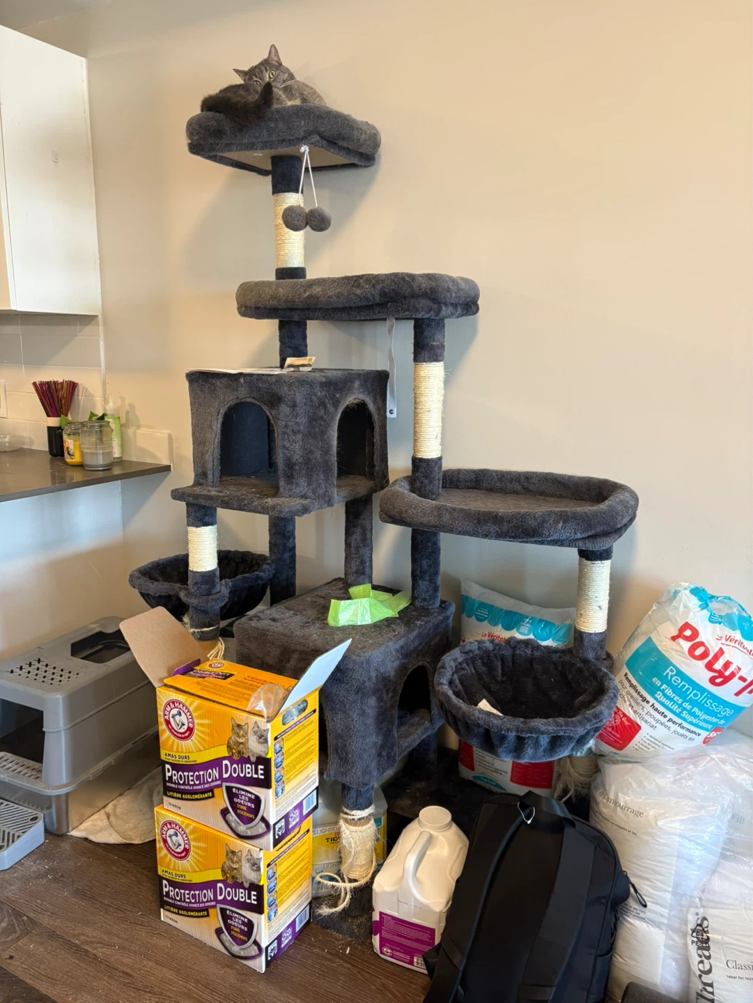Big cat tree