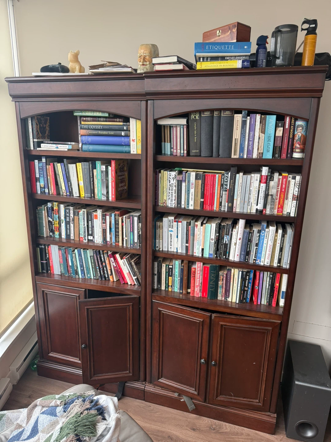 Dark Wood Bookshelf with Cabinet Doors