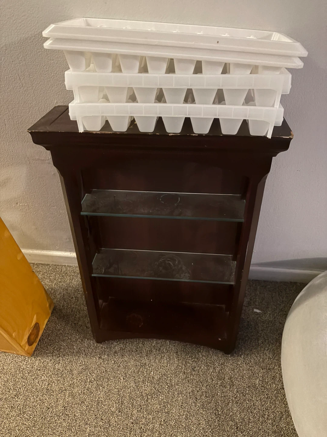 Free Ice Cube Trays and Shelf