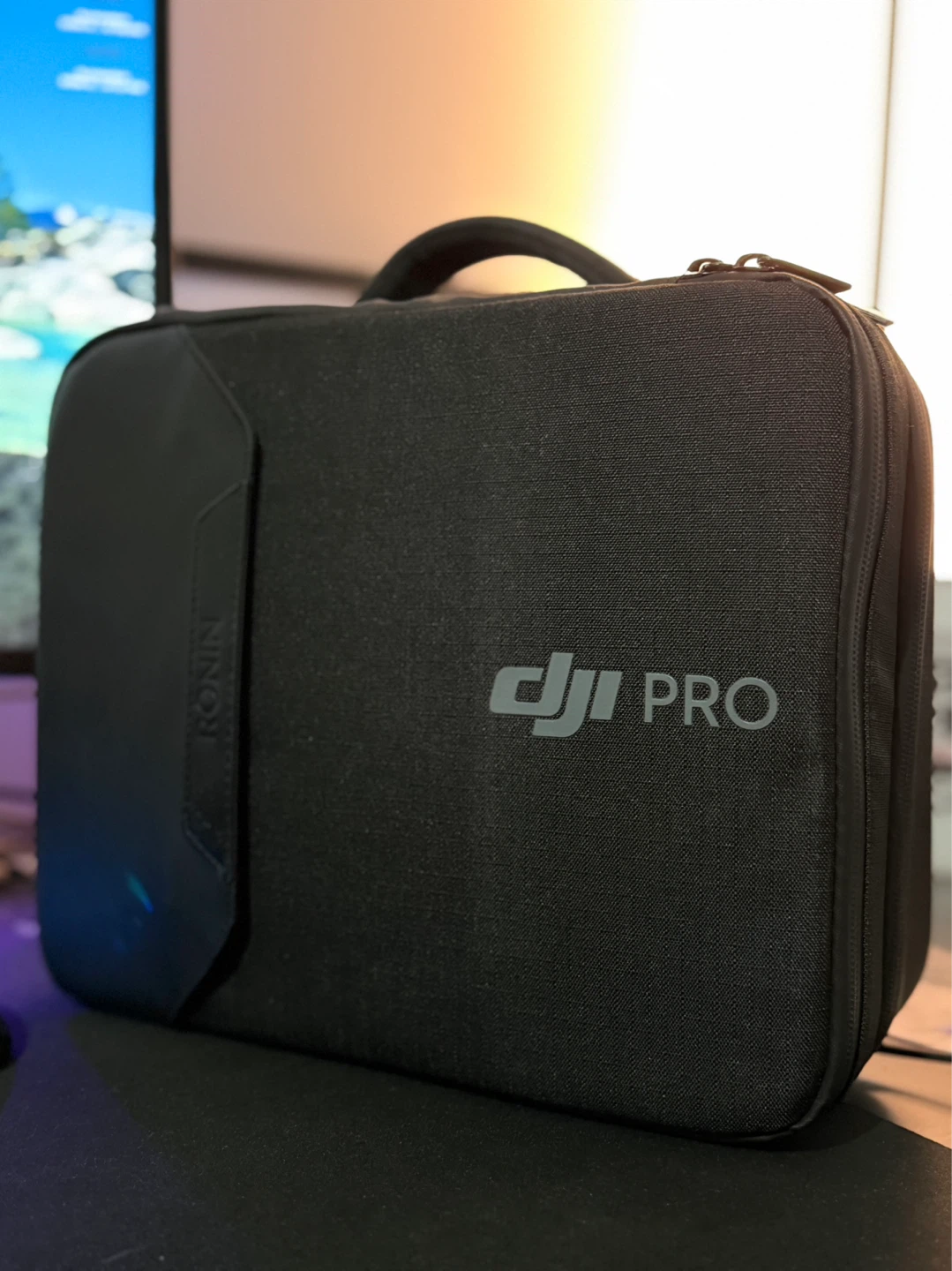 DJI Ronin Pro Gimbal Case
