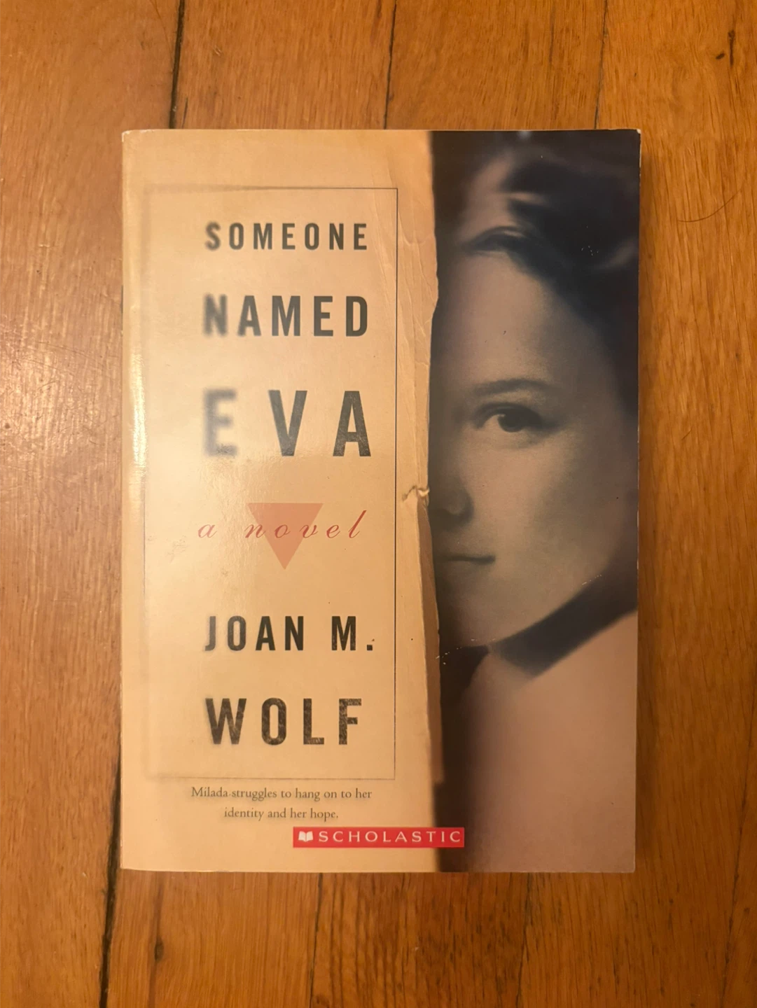 Someone Named Eva A Novel by Joan M. Wolf