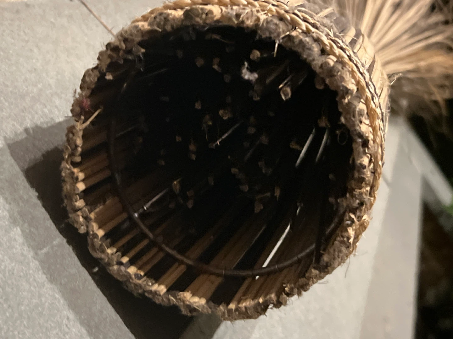 Dried Grass Bundle with Woven Base - photo 3